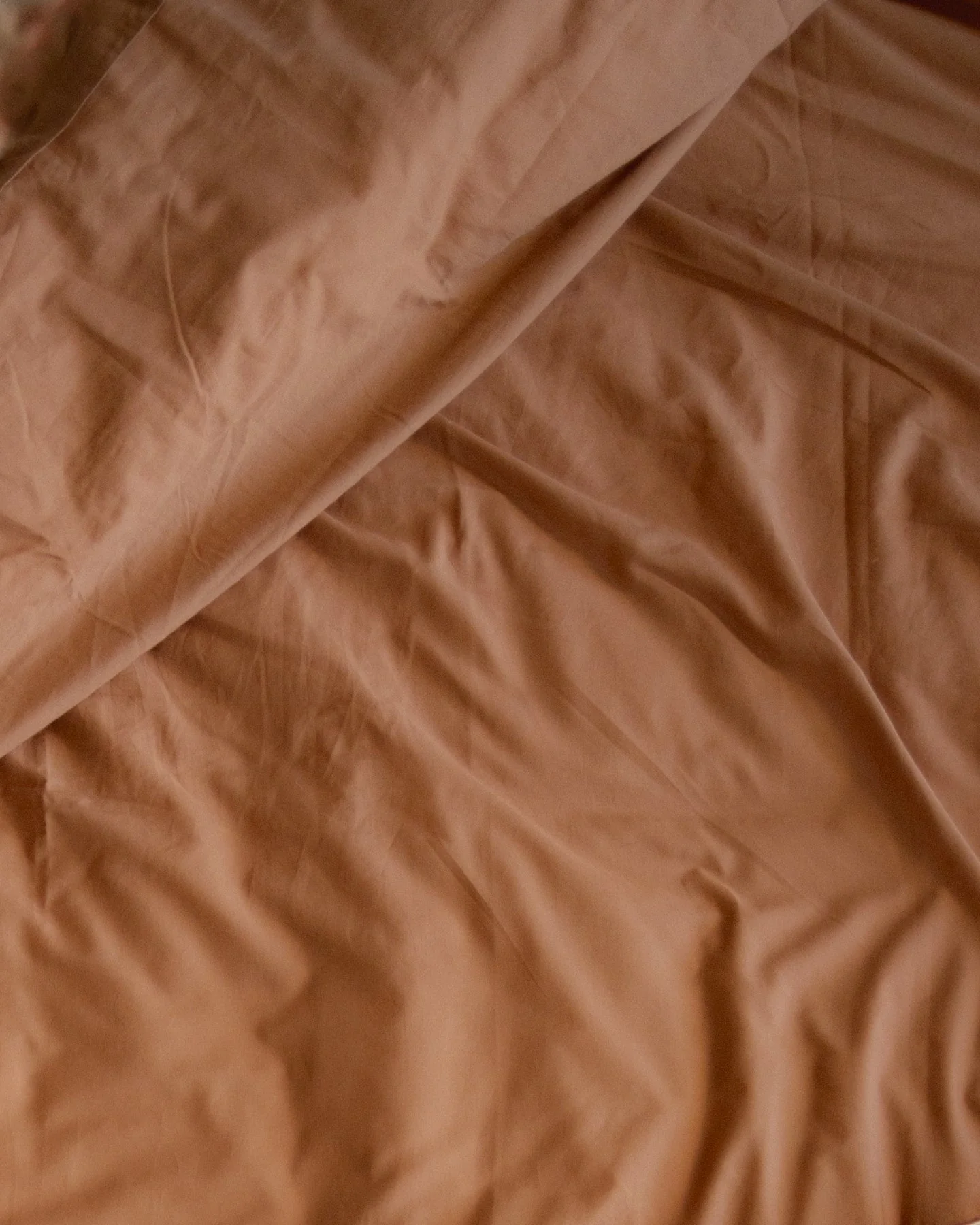 Willow Organic Cotton Percale Duvet Cover - 300 TC - Image 7